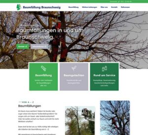 Baumfällung Braunschweig